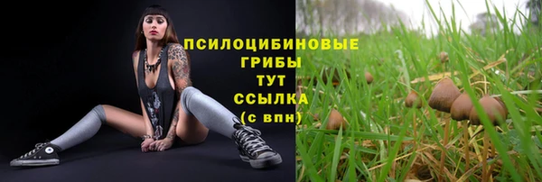 крисы Абдулино