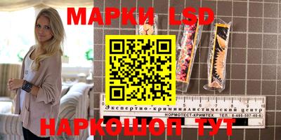 прущие грибы Славянск-на-Кубани