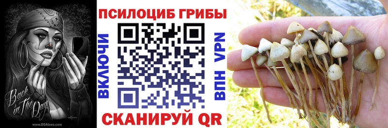 Галлюциногенные грибы мухоморы  Отрадный 