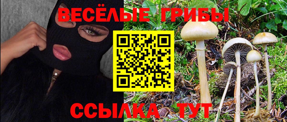 сколько стоит  Вход с VPN  Отрадный  Псилоцибиновые грибы мухоморы 